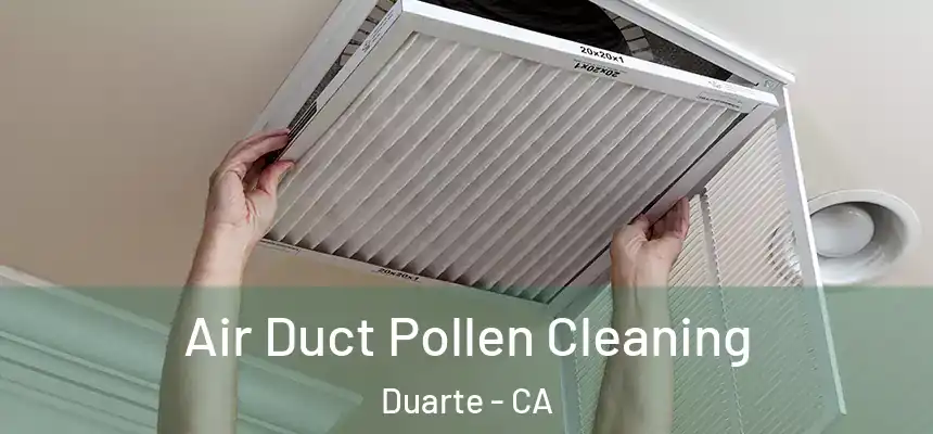 Air Duct Pollen Cleaning Duarte - CA