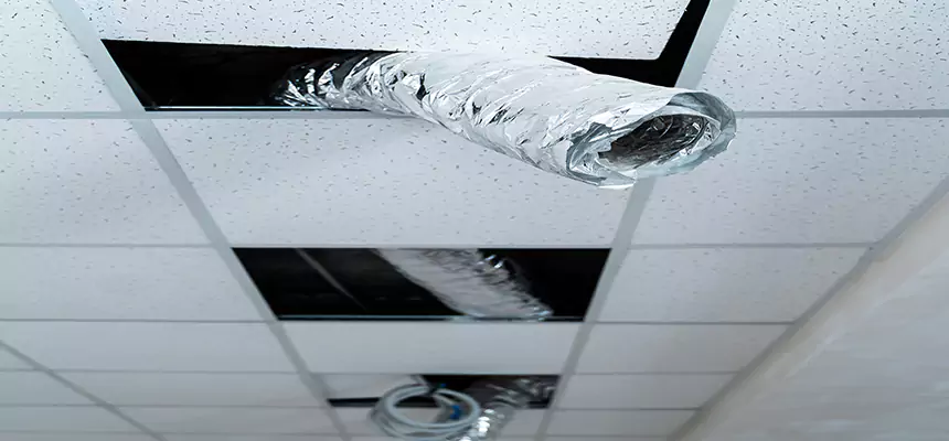 Affordable HVAC Sanitizing After Pest Removal in Duarte