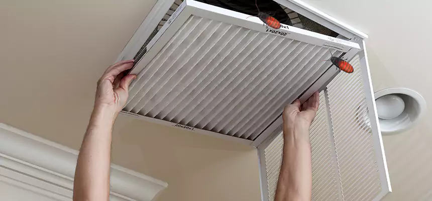 Our Insect Removal from Air Ducts Services in Duarte, CA