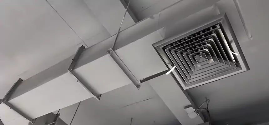 Our Pest Removal From Ducts Services in Duarte, CA