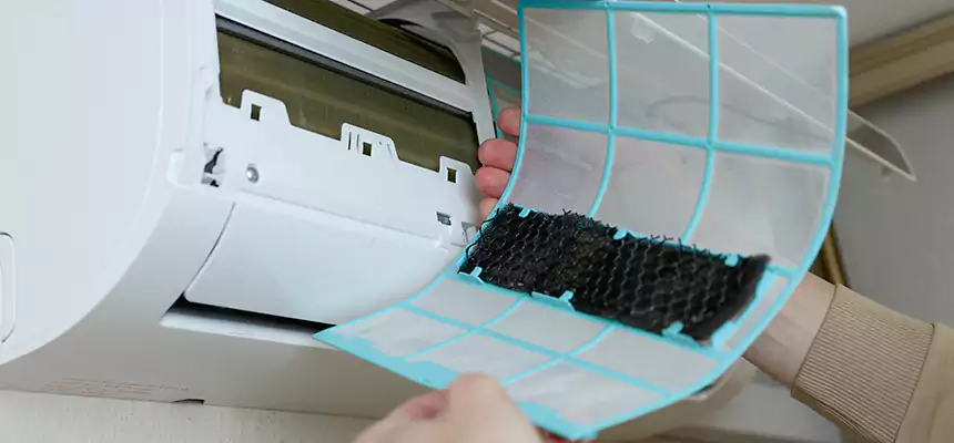 Gentle Ductwork Odor-Control Pet Dander Duct Cleaning in Duarte, CA