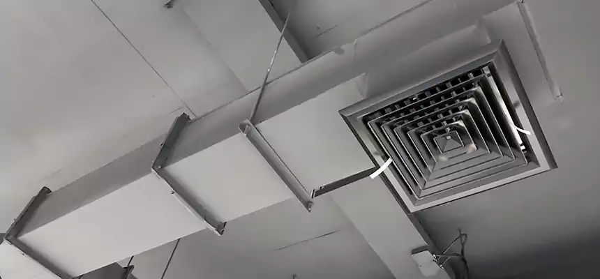 Our Rodent Droppings In Vents Services in Duarte, CA