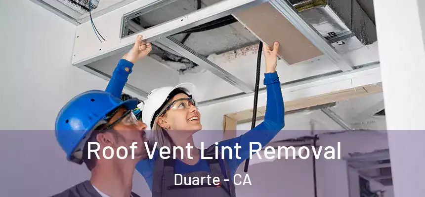  Roof Vent Lint Removal Duarte - CA