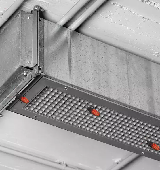 About Air Duct Cockroach Removal in Duarte, CA