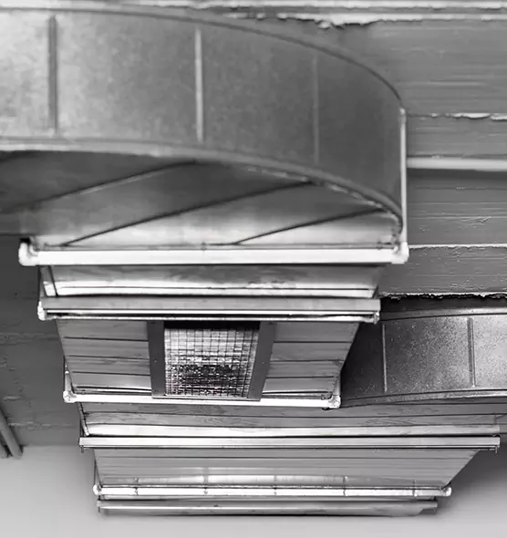 Professional Air Duct Pet Hair Removal in Duarte, CA