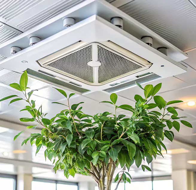 Why Homeowners & Businesses Trust Us in Duarte, CA?