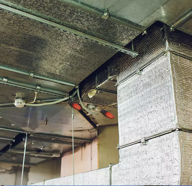 Why Homeowners & Businesses Trust Us Duarte, CA?